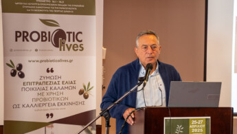 ProbioticOlives: Καινοτομία στη ζύμωση της ελιάς με προβιοτικά